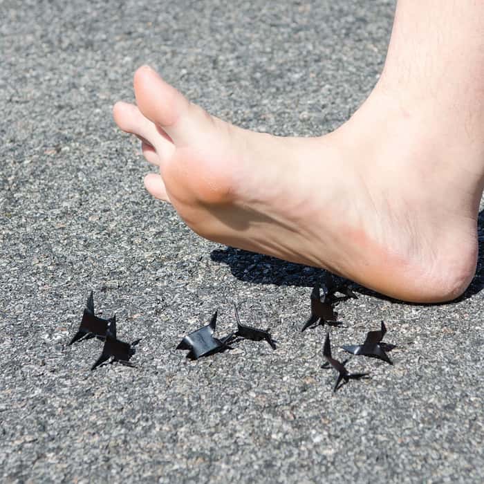 Black Hornet Caltrop Tashibishi 10 Pack