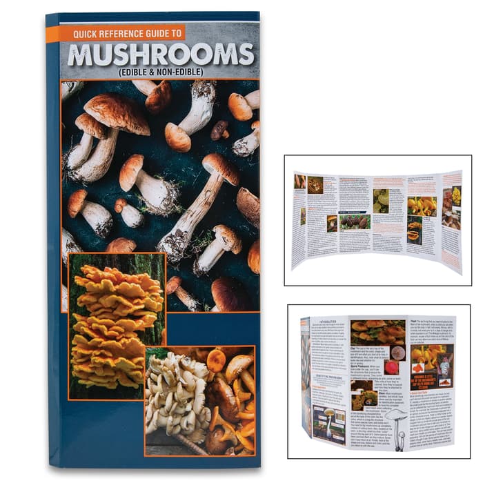 The Pocket Guide To Mushrooms shown folded and fully opened