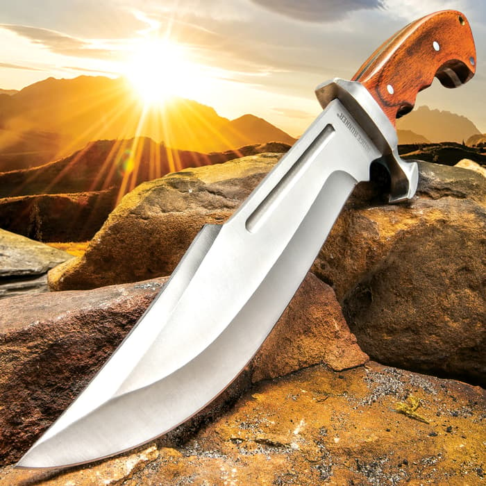 Ridge Runner Woodland Reverie Bowie / Fixed Blade Knife - Stainless Steel, Full Tang - Genuine Zebrawood - Nylon Sheath - Collecting, Field Use, Display and More - 13 1/4"