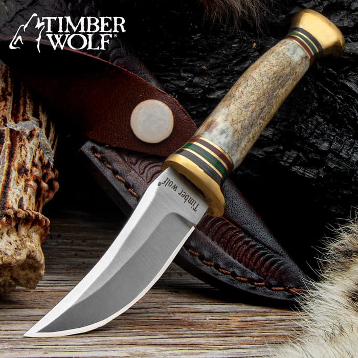 The Timber Wolf Mini Trail Knife is just 6 1/4" long.