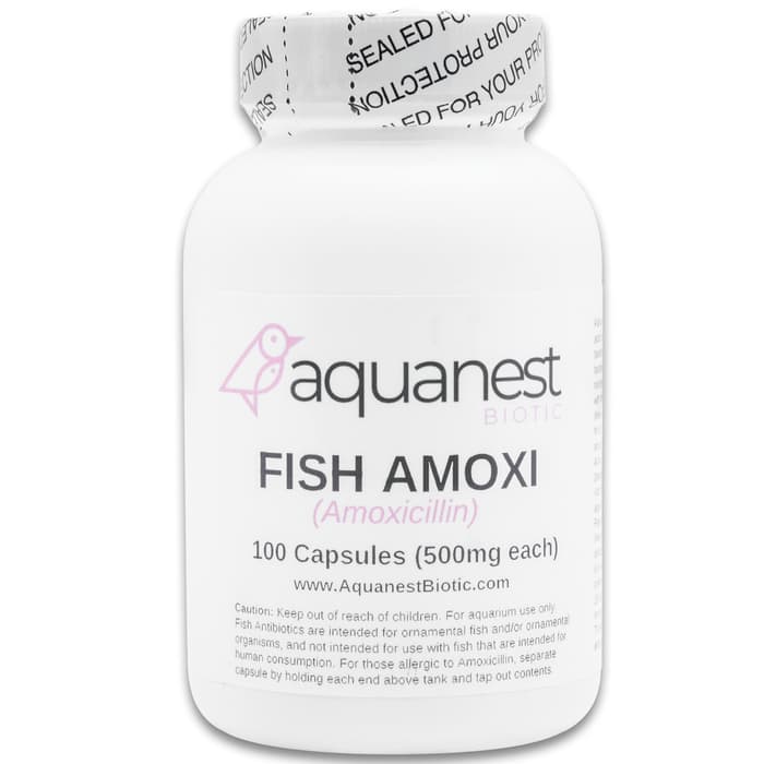 One of these 500 mg capsules of amoxicillin can treat 20 gallons of aquarium water within a 24-hour period of time