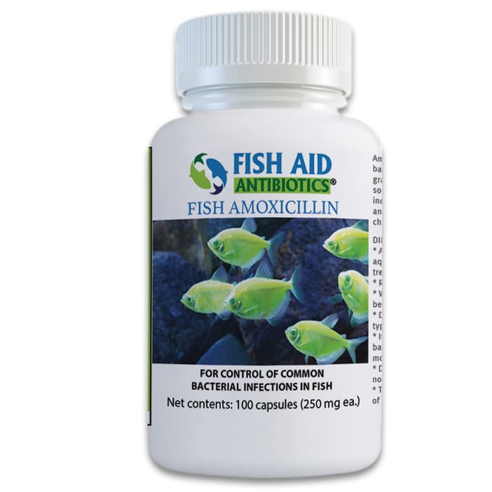Fish 250 mg Amoxicillin Antibiotics - 100 Capsules