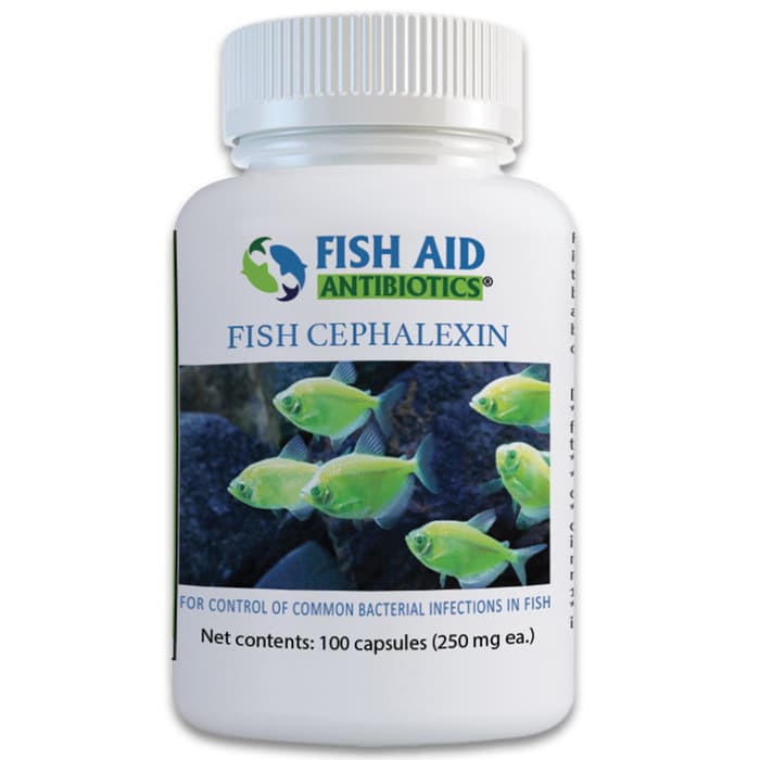 Fish Cephalexin Antibiotics 250 mg - 100-Count 