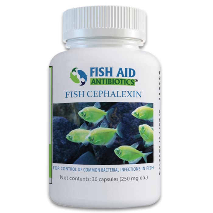 Cephalexin is effective against treating a wide variety of non-specific bacterial infections that your ornamental fish may fall victim to