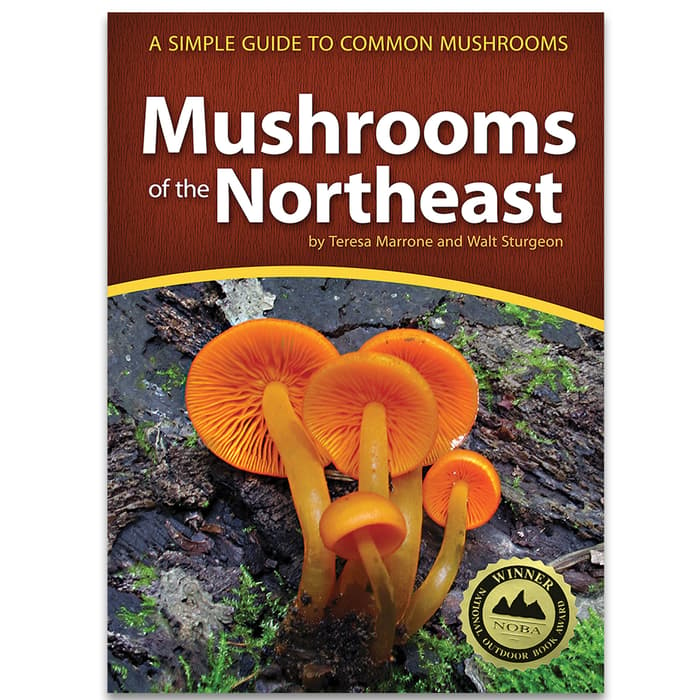 The Mushrooms Of The Northeast Guide is a visual guide to more than 400 species of common wild mushrooms found in the Northeast