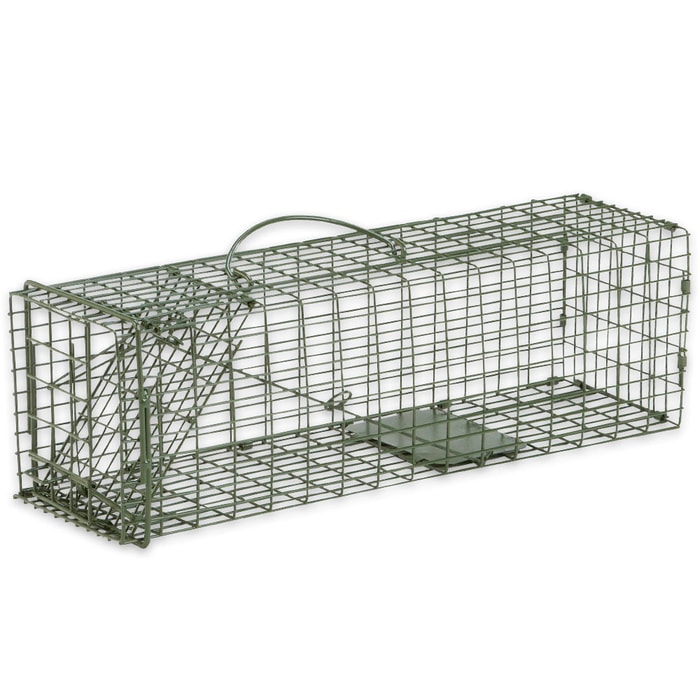 Duke Standard Small Animal Non-Lethal Cage Trap - Rodents, Small Squirrels, Chipmunks and More