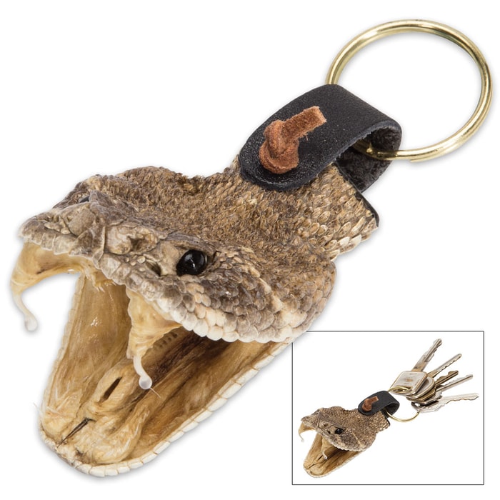Genuine Rattlesnake Head Keychain