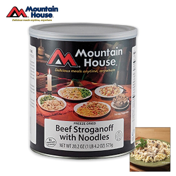 Mountain House Beef Stroganoff With Noodles Can 10 Servings
