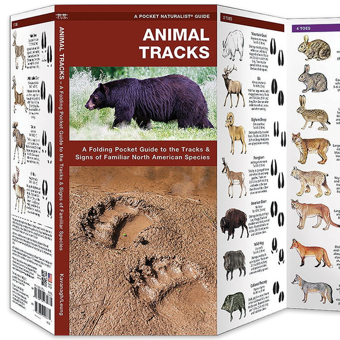 Guide To North American Animal Tracks