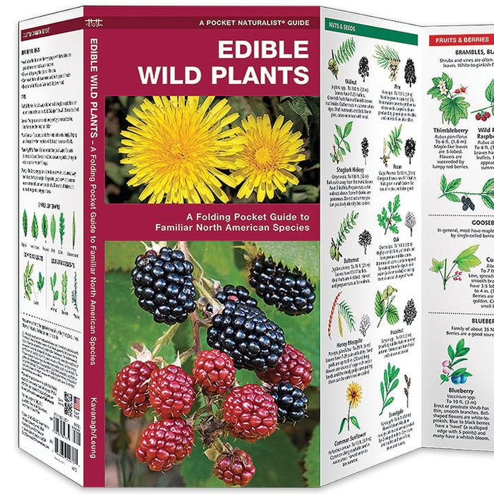 Edible Wild Plants Folding Pocket Guide