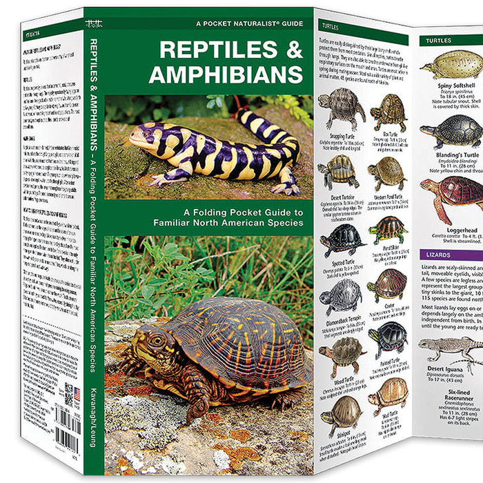 Reptiles And Amphibians Folding Pocket Guide