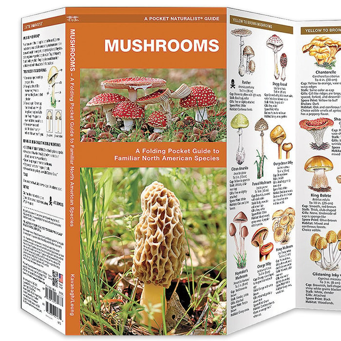 Mushrooms Folding Pocket Guide