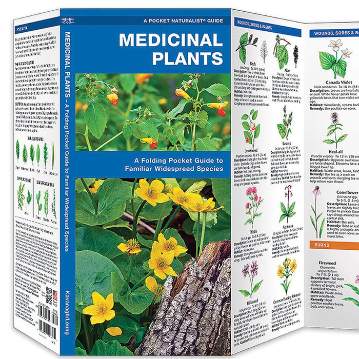 Medicinal Plants Folding Pocket Guide
