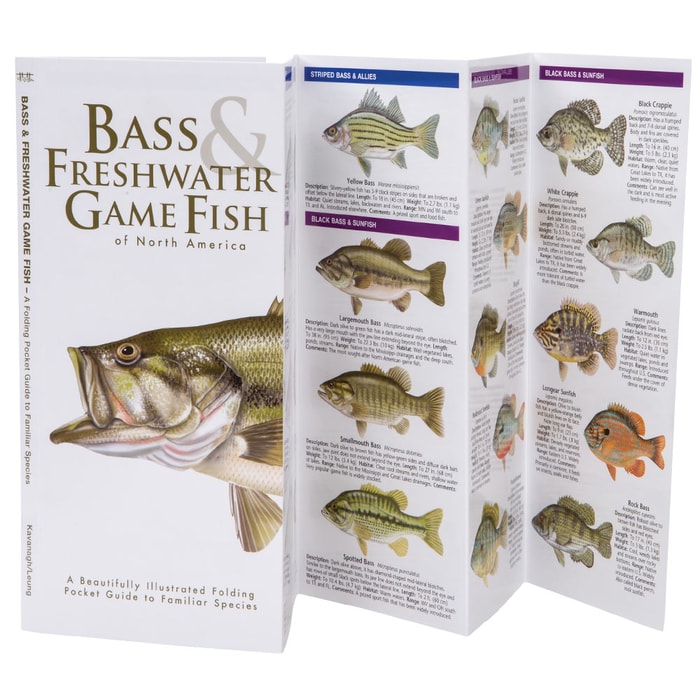 Bass And Freshwater Game Fish Of North America Folding Guide