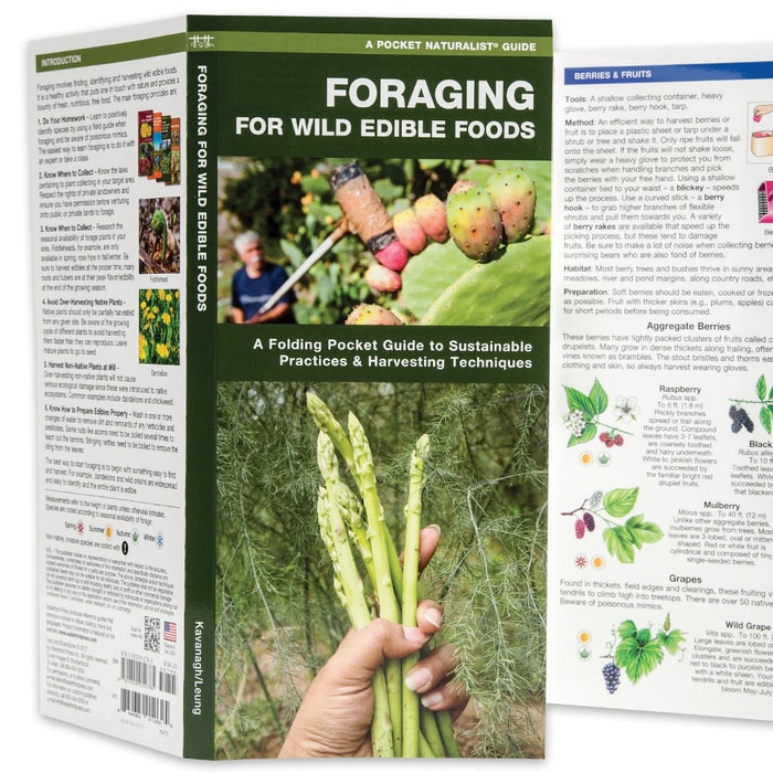 Foraging for Wild Edible Foods - Folding Pocket Guide - Laminated