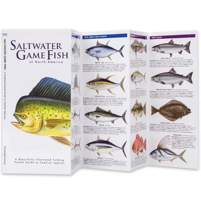 Saltwater Game Fish Of North America Folding Guide