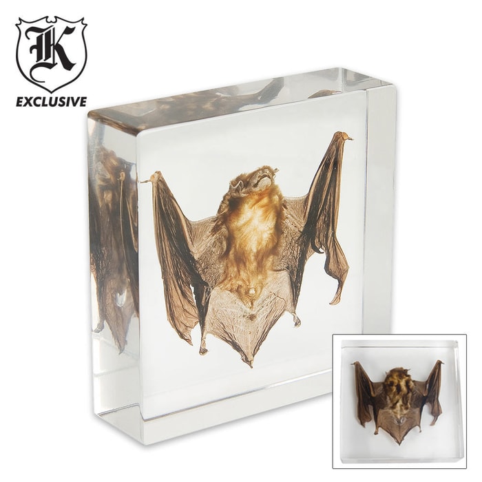 Real Bat Paperweight In Clear Lucite