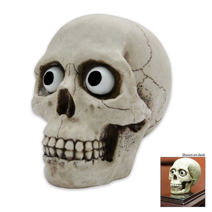 Realistic Human Skull Resin Décor