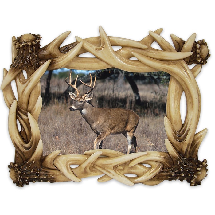 Antler 6x4 Photo Frame - Realistic Looking