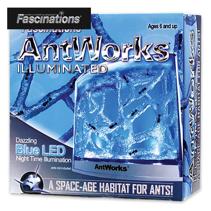 Fascinations Illuminated Ant Works