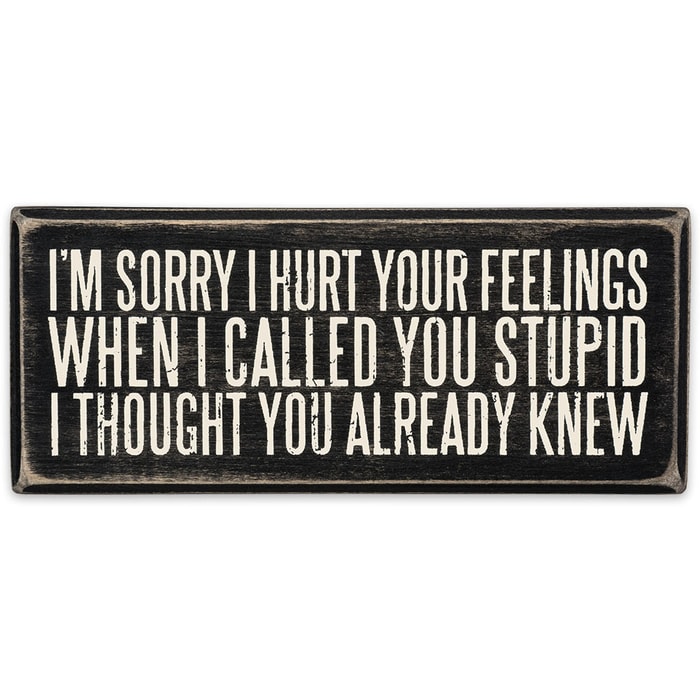 “Sorry I Hurt Your Feelings” 6” x 2 1/2" Rustic Wooden Box Sign