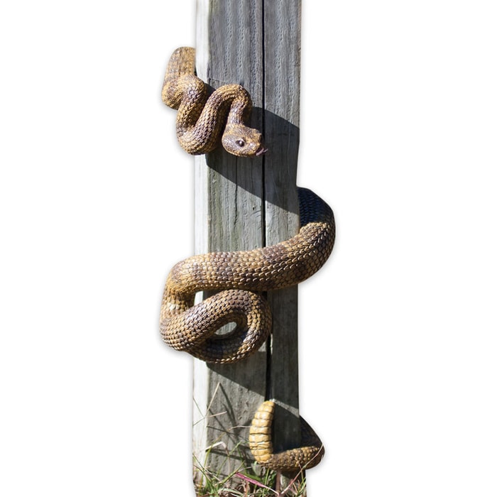 Rattlesnake Post Hugger