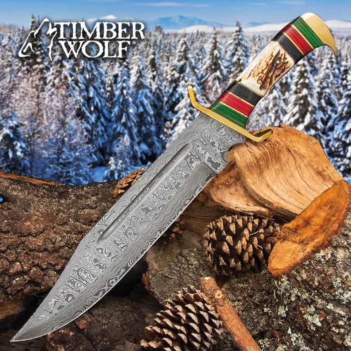 Timber Wolf Custom Stag Damascus Steel Fixed Blade Bowie Knife