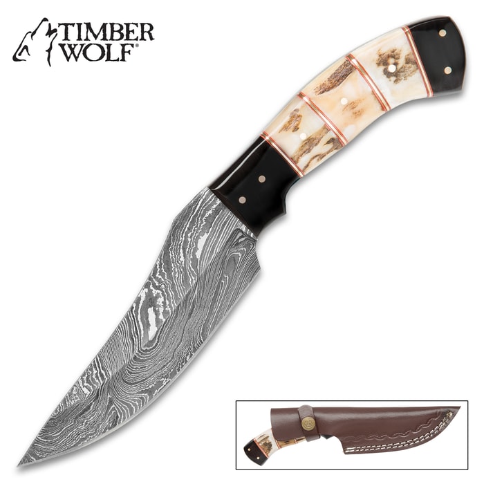 Timber Wolf Buckhorn Hunting Knife - Damascus Steel Fixed Blade Trailing Point - Staghorn Deer Antler Buffalo Horn Handle - Leather Sheath - Skinning, Slicing, Field Dressing, Game, Hunter, Outdoors