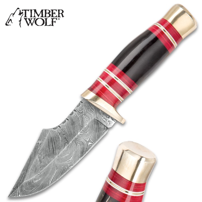 Timber Wolf Badgerclaw Skinner - Damascus Steel Fixed Blade with Scalloping - Genuine Bone, Pakkwood Handle - Brass Spacers, Guard, Pommel - Leather Sheath - Skinning, Camping, Hunting, Outdoors