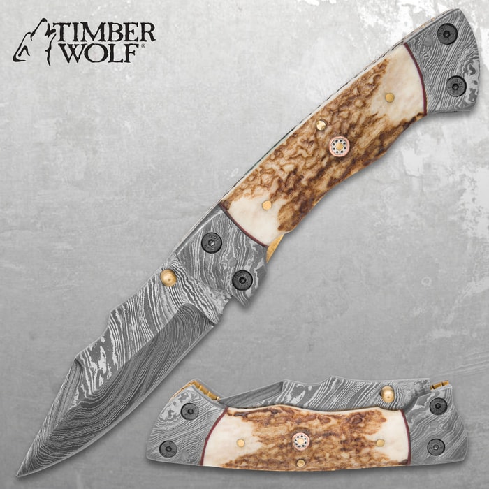 Timber Wolf Damascus And Stag Horn Pocket Knife - Damascus Steel Blade, Stag Horn Handle, File Worked Brass Liners - Closed 4 1/2”