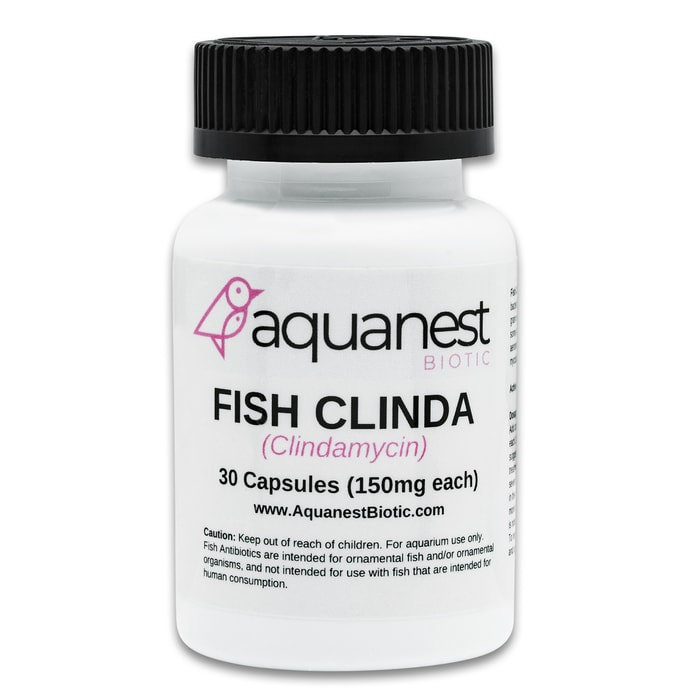 A bottle of Fish Clindamycin