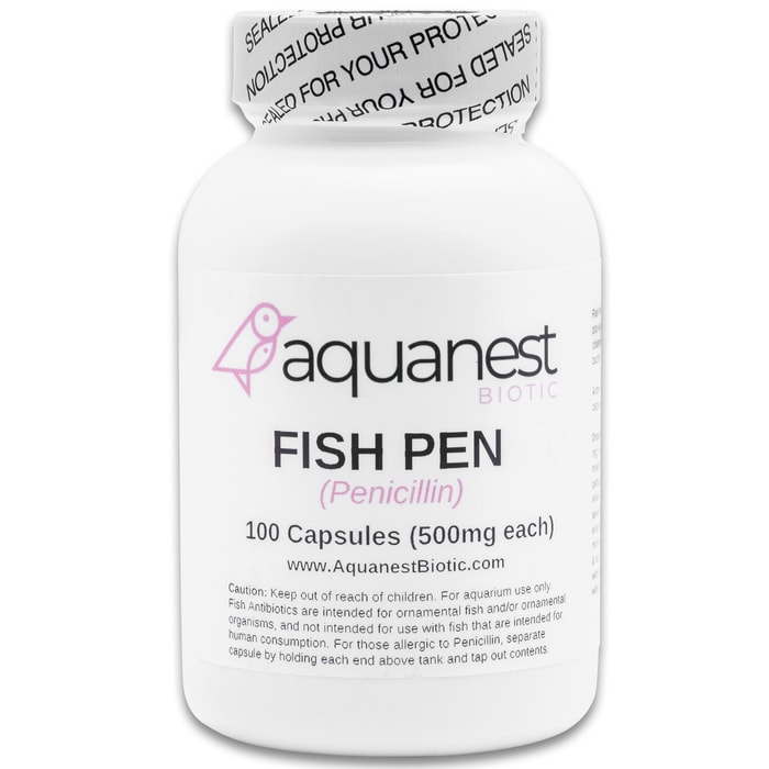 One of these 500 mg capsules of penicillin can treat 20 gallons of aquarium water within a 24-hour period of time