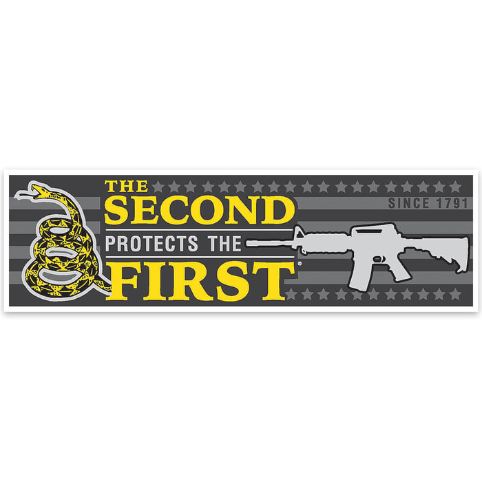 "The 2nd Protects the 1st" Bumper Sticker