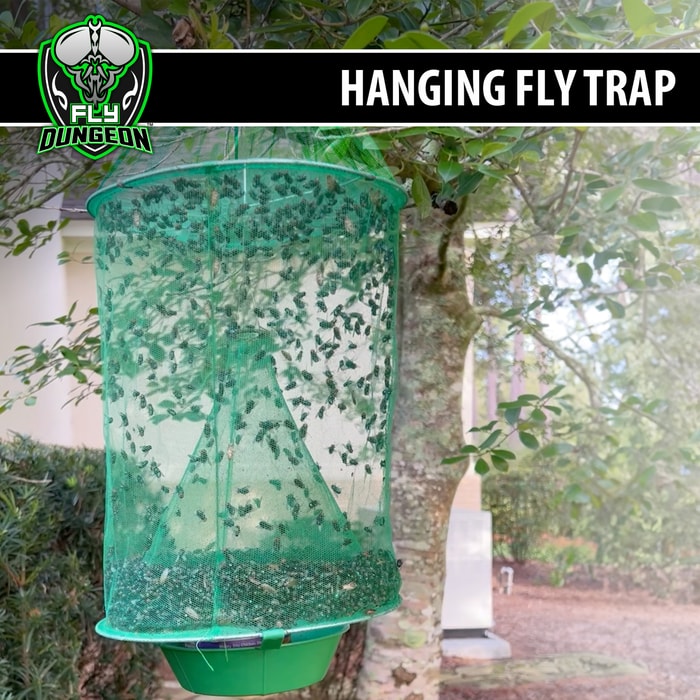 Fly Dungeon Hanging Fly Trap shown hanging from a tree filled with flies.
