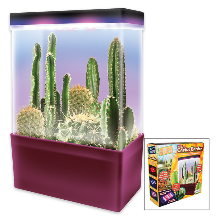 Super LED Cactus Garden