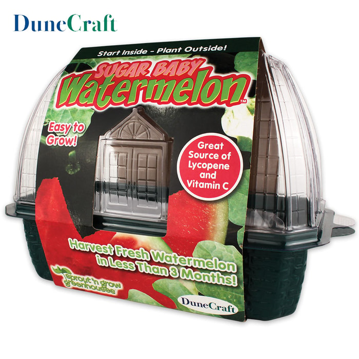 Sprout N Grow Greenhouse Sugar Baby Watermelons
