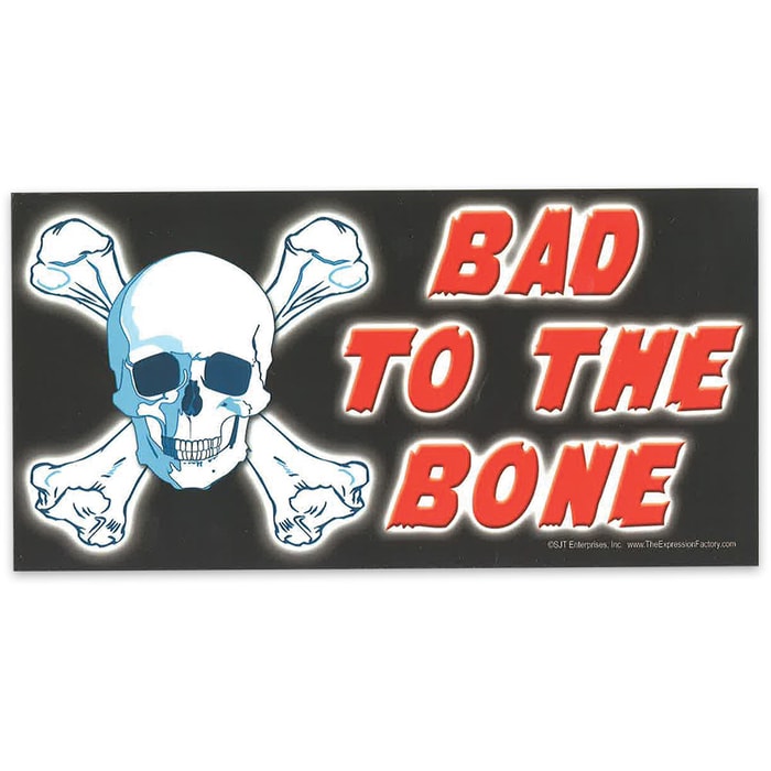 Bad to the Bone" 4" x 8" Waterproof Car Magnet