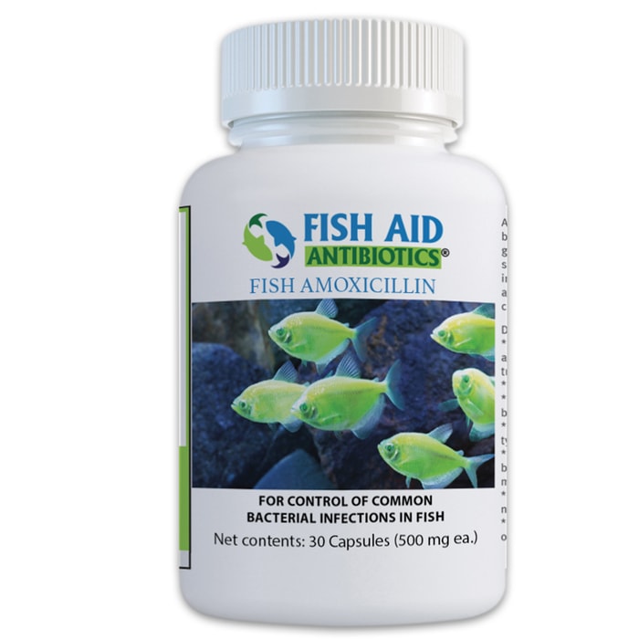 Fish 500 mg Amoxicillin Antibiotics - 30 Tablets