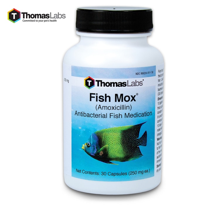Fish Mox Amoxicillin 250 Mg - 30-Count