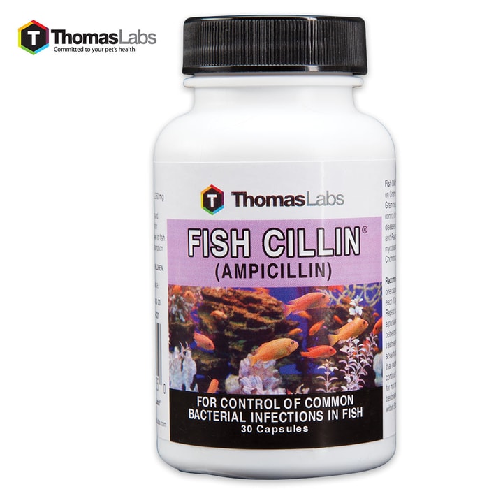 Fish Cillin Ampicillin 250 MG - 30-Count