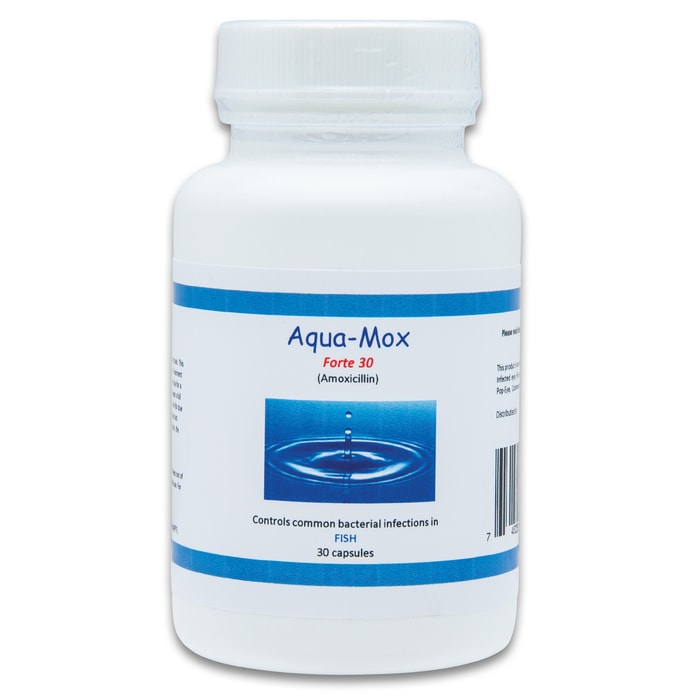 The Aqua Amoxicillin pills in their container