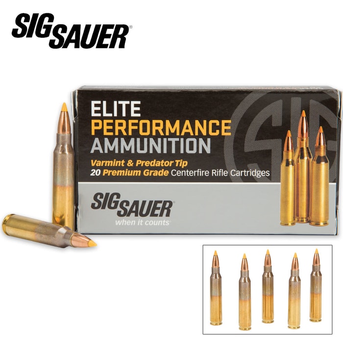 SIG Sauer .223 Rem 40gr Varmint and Predator Centerfire Cartridges - Hollow Point - Box of 20