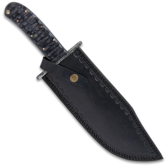 Shark Tooth Fixed Blade Knife with Leather Sheath