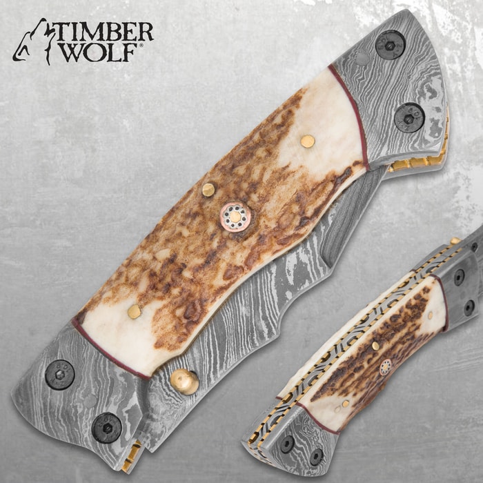 Stag Horn Damascus Knife - Morf Steel – MORF STEEL