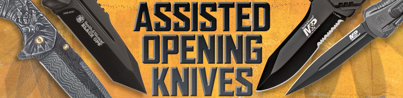 Assisted Opening Knives