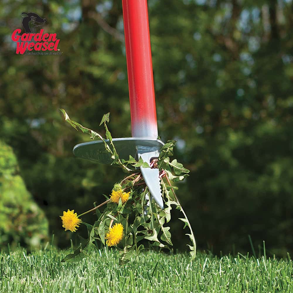 Garden Weasel Weed Popper | Fasci Garden