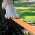 Slackers Slackline With Teaching Line 50 Ft. Free Shipping!