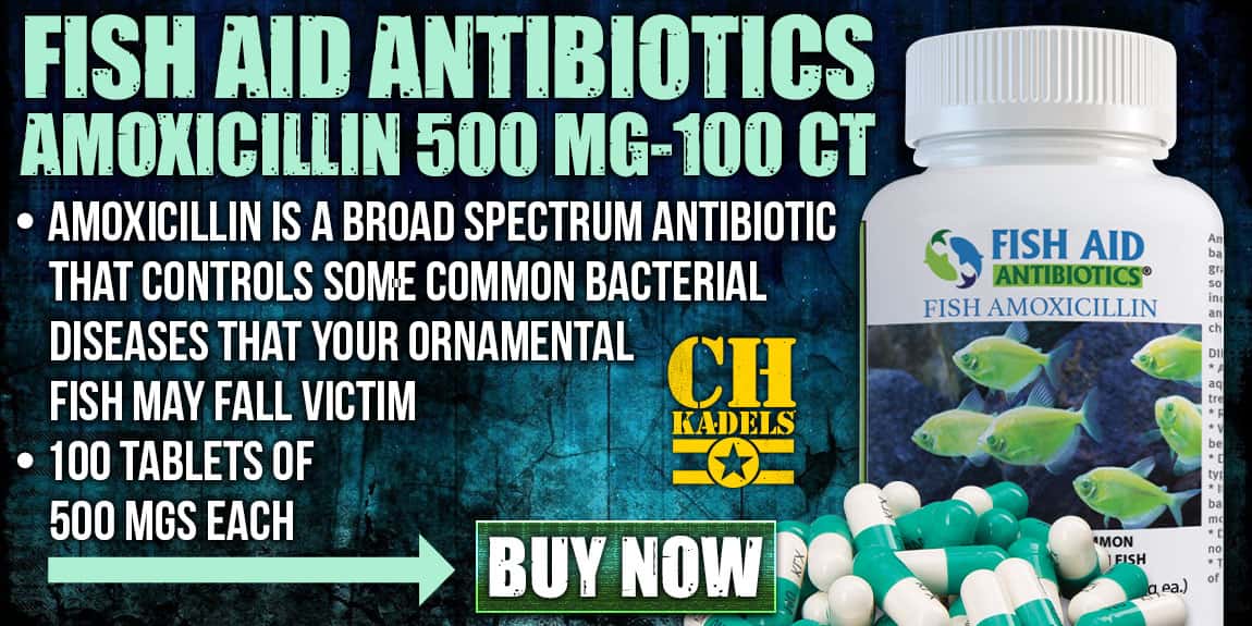Fish Aid Antibiotics Amoxicillin 500 Mg