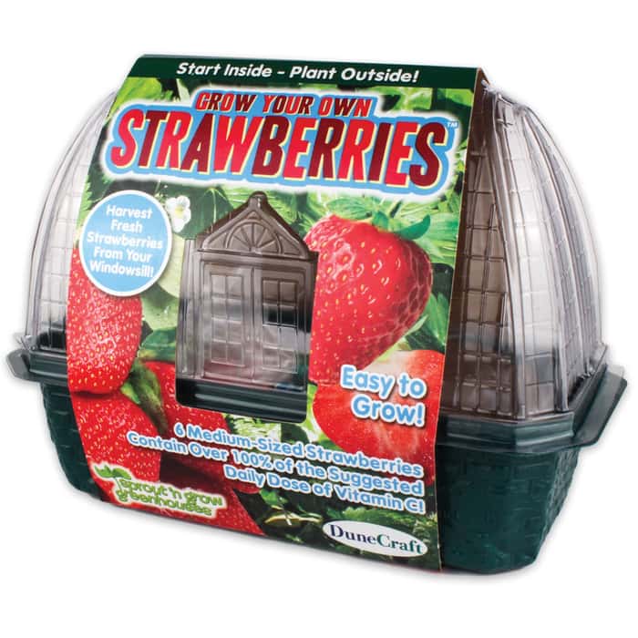 Sprout N Grow Greenhouse Strawberries Free Shipping!
