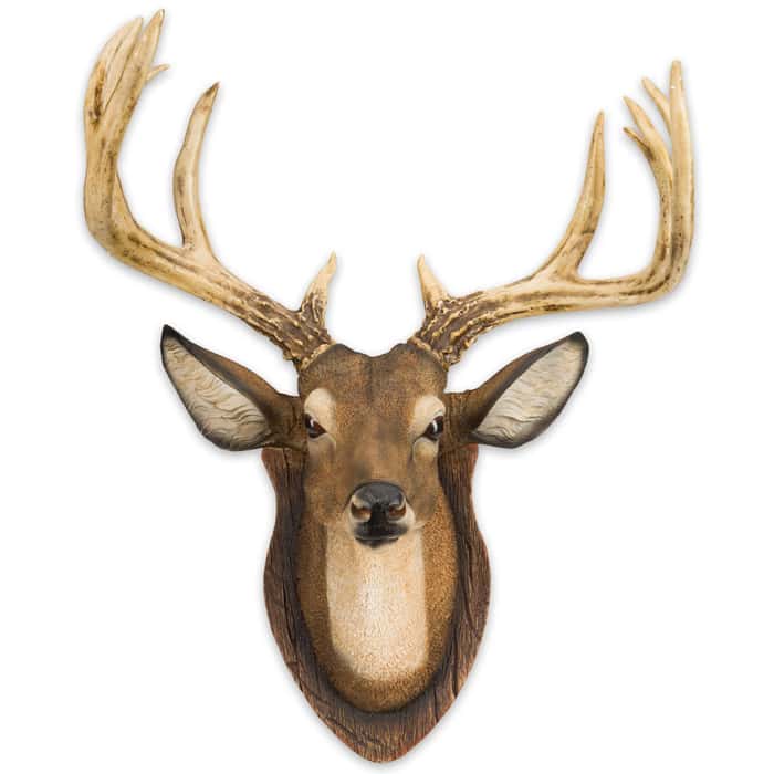 12Point Buck/Deer Head Reproduction Wall Sculpture